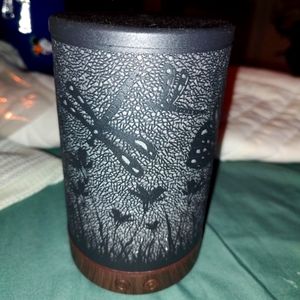 Dragonfly diffuser